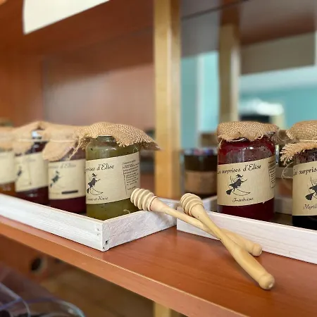 酒店 Deltour Le Puy En Velay Brives-Charensac