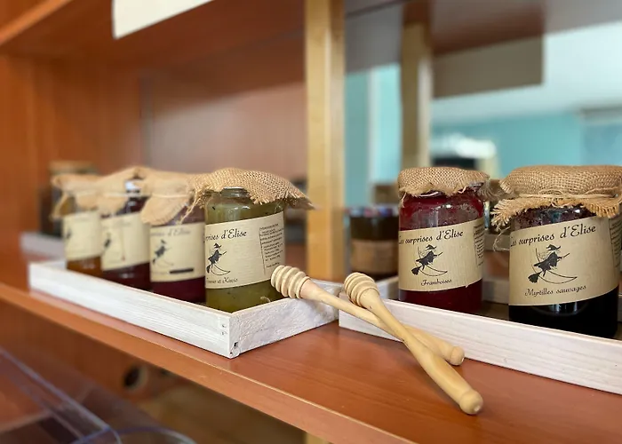 Hotel Deltour Le Puy En Velay Brives-Charensac